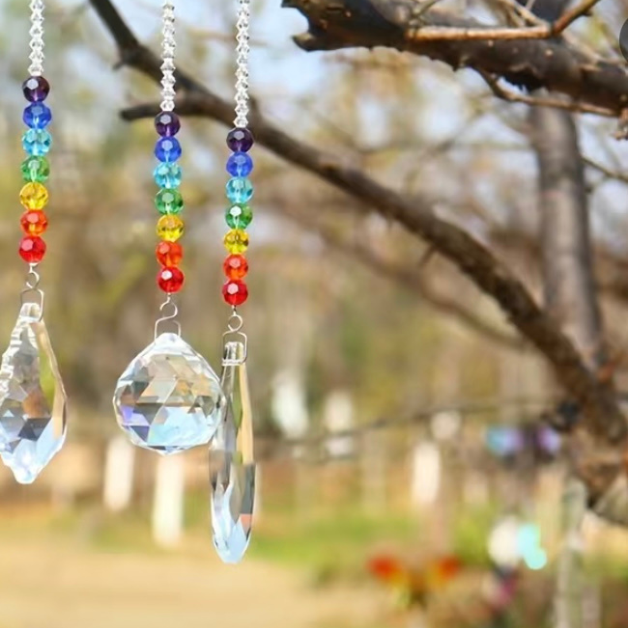 Crystal Bird Repellent Pendant 