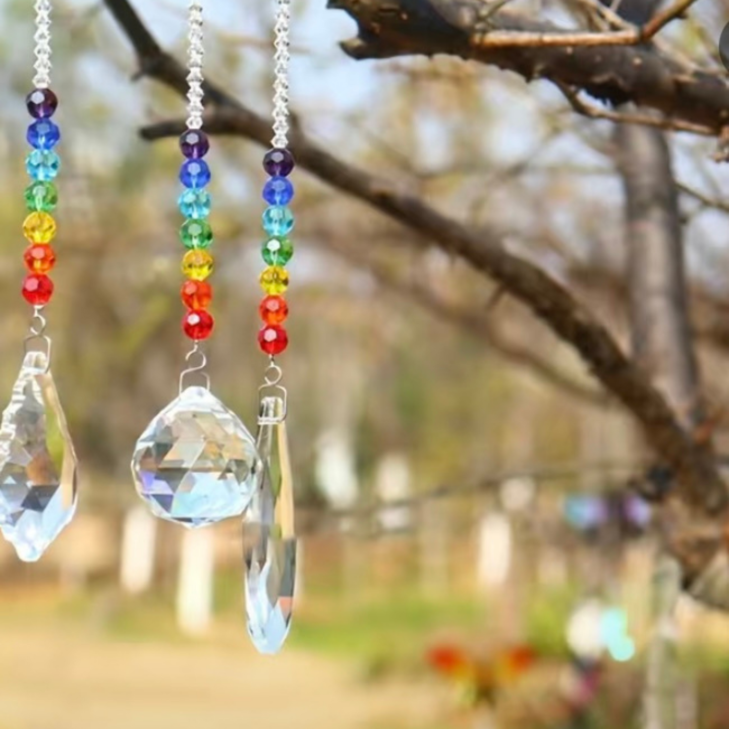Crystal Pennant Prism Rainbow Maker & Garden Bird Deterrent