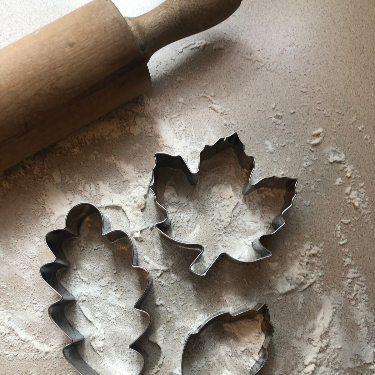 Maple Leaf, Oak Leaf & Birch Leaf Cookie Cutter Stainless Steel